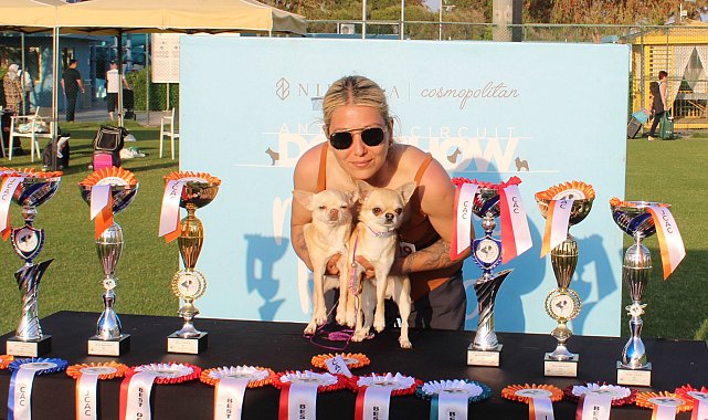Aladar, 1500 köpek arasında Türkiye şampiyonu oldu