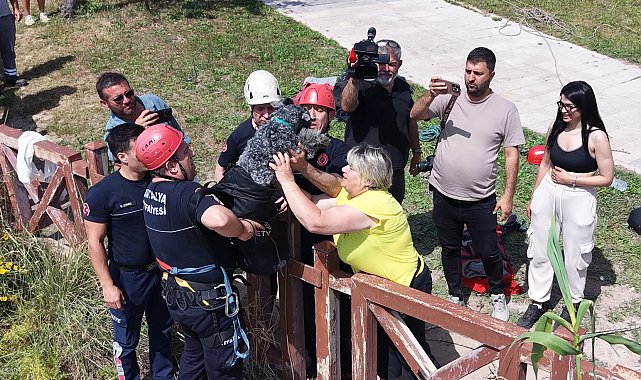 Kedi kovalarken falezlerden düşen köpek, dronla tespit edilip kurtarıldı