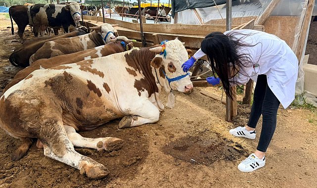 Kepez'de kurban satış ve kesim yerleri denetim altında