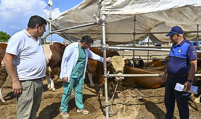 Muratpaşa'da Kurban Bayramı hazırlıkları tamamlandı