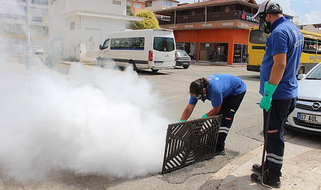 19 ilçede vektörle yoğun mücadele