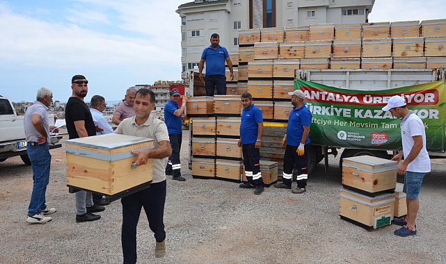 Büyükşehir'den Antalya'nın dört bir yanına arı kovanı desteği