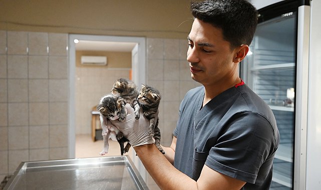 Can dostlara tedavi ve rehabilitasyon