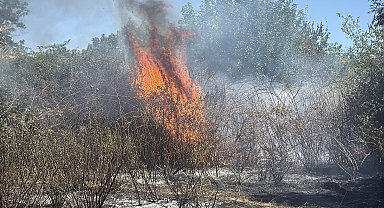 Rüzgarın etkisiyle yayılan ot yangını korkuttu