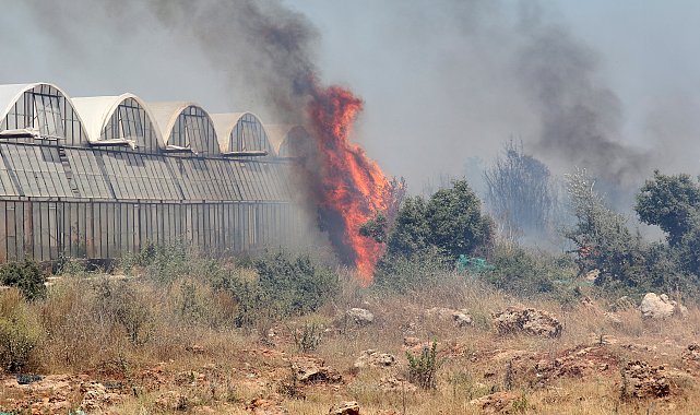Seralar ve evleri tehdit eden ot yangını söndürüldü