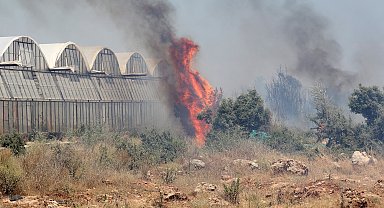 Seralar ve evleri tehdit eden ot yangını söndürüldü
