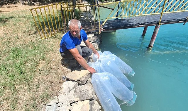 400 bin yavru balık suya bırakıldı