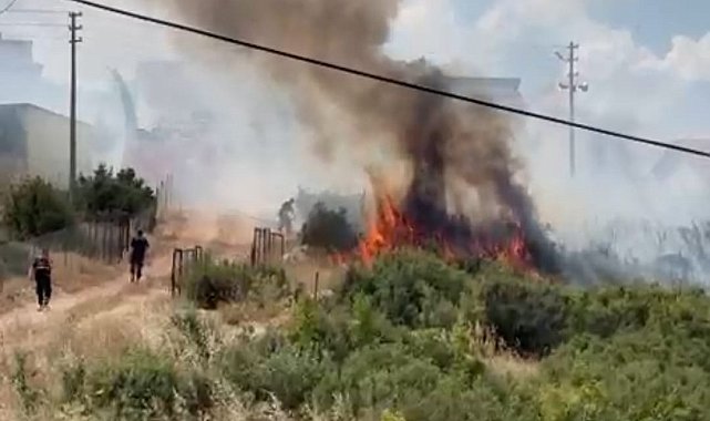 Anız tarlasındaki yangın, yerleşim yerlerine sıçramadan söndürüldü