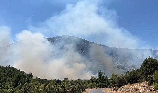 Antalya Akseki'deki orman yangınında 100 hektar alan zarar gördü