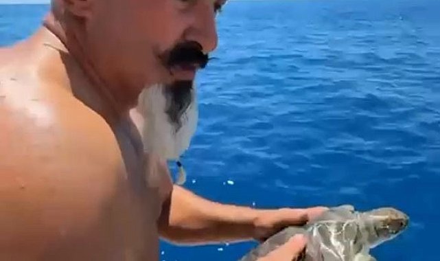 Çuvala dolanan deniz kaplumbağası kurtarıldı