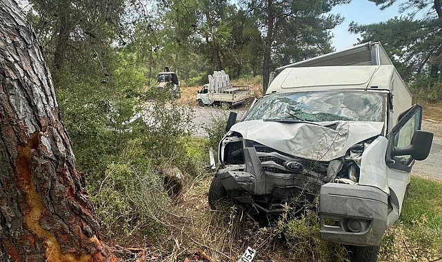 Kamyonet ağaca çarptı: 1 ölü