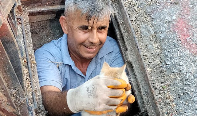 Kanalizasyona düşen kedi kurtarıldı