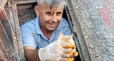 Kanalizasyona düşen kedi kurtarıldı