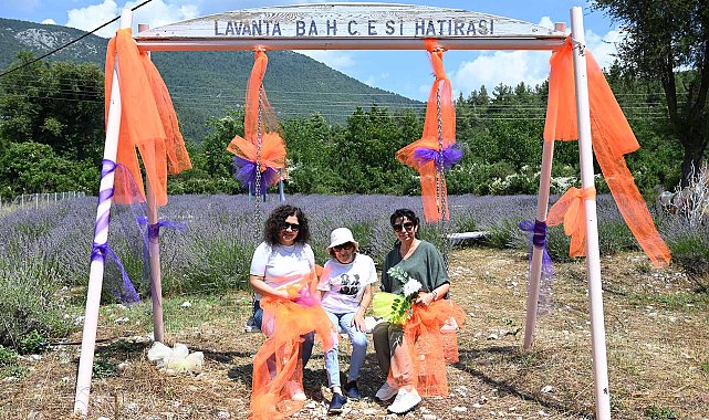 Kemer'de lavanta turizmi başlıyor