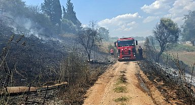 Yol kenarında başlayan yangın söndürüldü