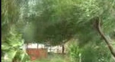 Manavgat Kaymakamı Sokağa Çıkmayın 