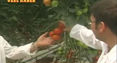 Manavgat TARIM a DEV YATIRIM